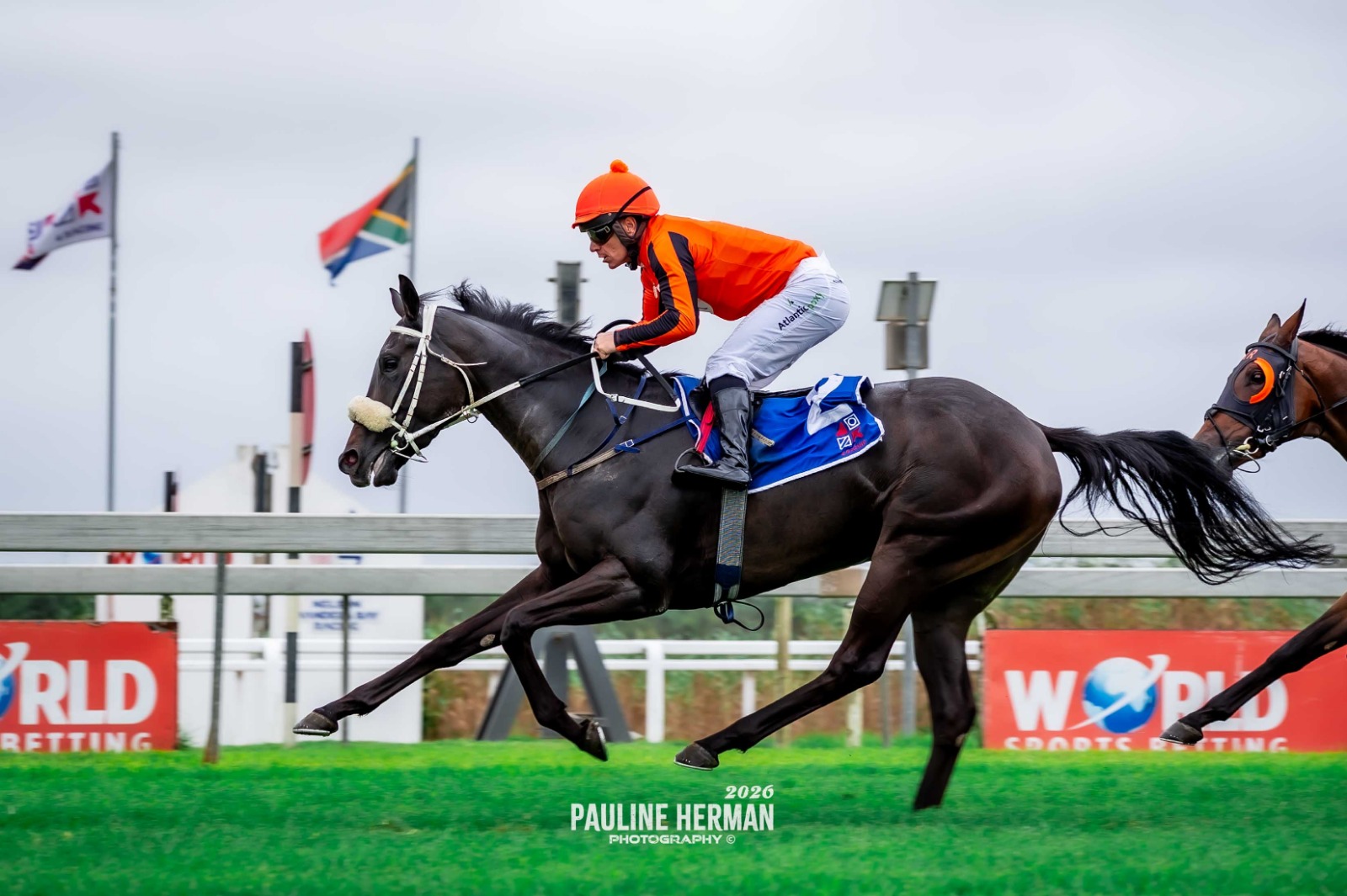Howzit Boet Adventure